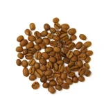 قهوه تخصصی Costa Rica Sabanilla - تصویر 4